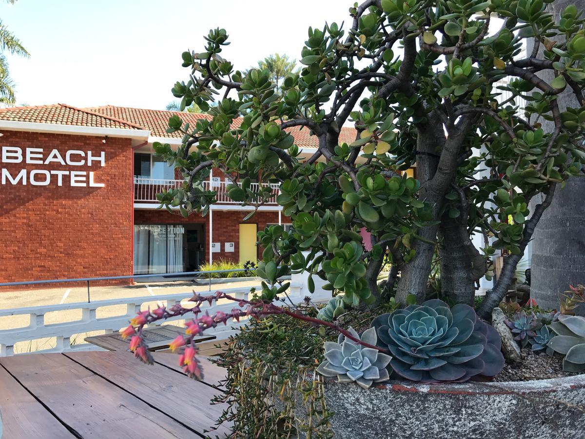 Thirroul Beach Motel Dış mekan fotoğraf